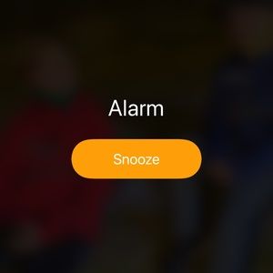 Meet your Posher, Phil